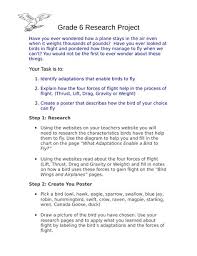Bird Research Project Ninja Plans Research Projects Science Resources Teaching Resources