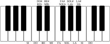 Quindi do#dim = do#, mi, sol. I Tasti Neri Del Pianoforte