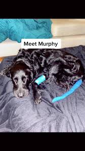 Emma Fiddler (@emmafiddler7)