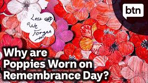 Remembering the people who died in defense of their country is the true meaning of memorial day, and placing flowers on memorials is a great way to honor the. Why Are Poppies Worn On Remembrance Day Behind The News Youtube