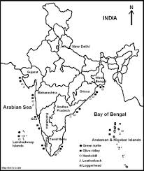 Typically found around coastal reefs, rocky areas, estuaries and lagoons. Map Showing Distribution Of Sea Turtles Along The Coast Of India The Download Scientific Diagram