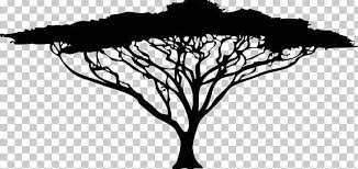 African Trees Silhouette Drawing Png Acacia Africa African African Trees B Acacia Africa African Dr African Tree Tree Silhouette Silhouette Drawing