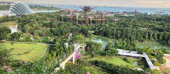 Singapore Medical Insurance For Expats Finding Your Ideal Plan