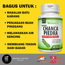 We did not find results for: Chanca Piedra Rawatan Batu Karang Phyllanthus Niruri Stonebreaker Gallstones Daun Marisan