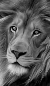 Black And White Angry Lion Face Wallpaper Pin By Hazzul Duran On Leones Black And White Lion Lion Painting Lion Wallpaper