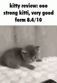 Kitty Review Cat Gif Kitty Review Kitty Cat Discover Share Gifs