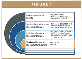 Image result for Immune Checkpoint Inhibitor