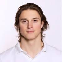 80+ "Nikola" profiles