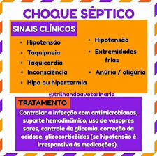 Qsofa um novo conceito em sepse, denominado sepsis 3,  16  introduziu uma nova ferramenta de triagem diagnóstica: Choque Septico Choque Septico Medicacao Tratamento