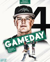 William Peace University Athletics