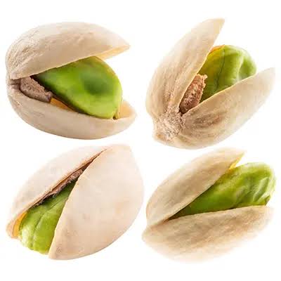 نهال پسته پایه بنه