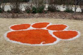 Check spelling or type a new query. Lawn Care Lawn Fertilizer Services Greenville Sc