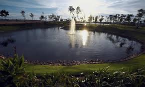 The island is separated from the mainland by sungai jejawi and sungai tengah. Beautiful Green Lung In The North The Star