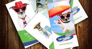 Looking for brochure psd free or illustration? 30 Free Brochure Templates For Download Hative