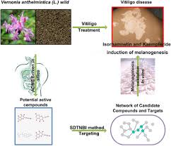 Image result for Vernonia anthelmintica