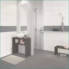 12 Ehrfurchtiges Badezimmer Renovieren Ideen Umbau Badezimmer Ideen Eintagams Badezim In 2020 Badezimmer Renovieren Badezimmer Fliesen Badezimmer Grau