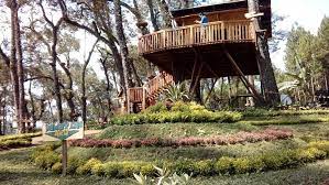Di wajak juga ada wisata terbaru loh, namanya adalah rumah pohon kampung enam. Spot Kece Dan Kekinian Rumah Pohon Kampung Enam Wajak Malang