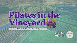 Pilates in the Vineyard | Blue Ridge Winery