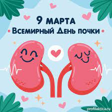 9 марта – Всемирный день почки