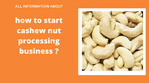 Read more » adriano zendejas wikipedia biografía, edad, familia ( laura carmine ) ferny graciano【 wikipedia 】edad, estatura altura, biografía, novio. Cashew Nut Processing Business Irs Business E Learning