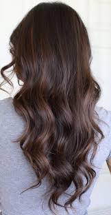 Very Subtle Highlights But Still Pretty Rich Brown Hair Hair Styles Auburn Balayage
