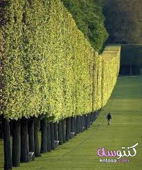 صور مثالية تمنحنا الراحة النفسية لوحة فنية 2020 landscape design landscape beautiful places