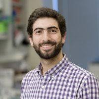 The Viviane Tabar Lab