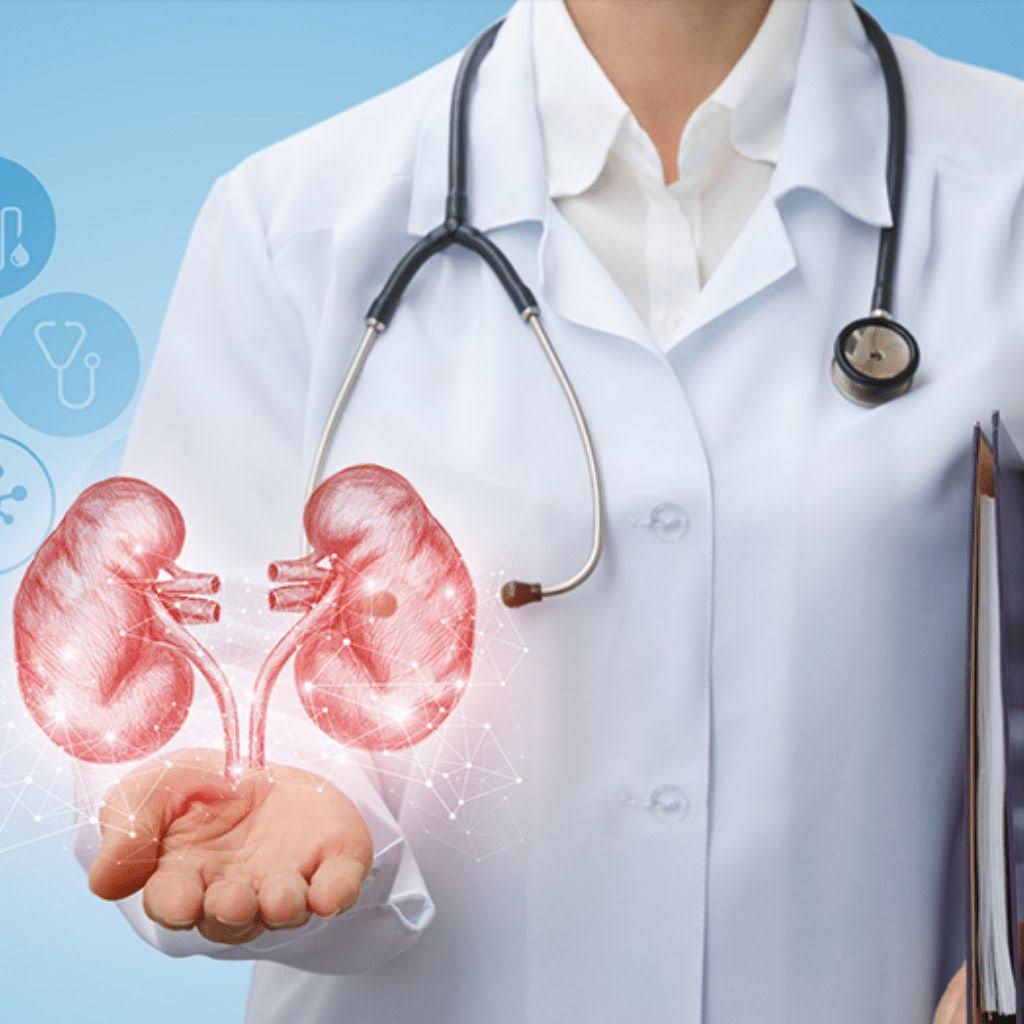 Kidney Care & Urology Consultation in Bareilly | Expert product image