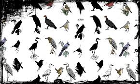 Angka Togel Paling Lengkap Mimpi Burung Raja Udang Kecil