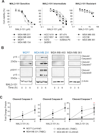 Add to an existing collection will be the default selection. Unique Integrated Stress Response Sensors Regulate Cancer Cell Susceptibility When Hsp70 Activity Is Compromised Elife