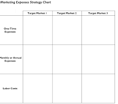 complete a marketing expenses strategy chart per m