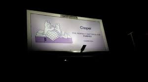 Casper Mattresses - Furry Ad Campaign by ChancetheDragon -- Fur Affinity  [dot] net