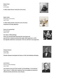 In fact, similarities in ultrastructure between the adherens junction and the synaptic complex of central. Cell Theory Timeline Cards And Facts 2012