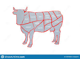 Cow And Cut Of Beef Or Beef Chart Diagram Of Different