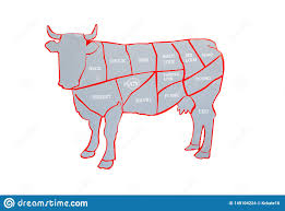 cow and cut of beef or beef chart diagram of different