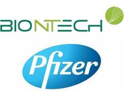 The pfizer vaccine contains four salts, one of which is ordinary table salt. Pfizer Biontech Covid 19 Vaccine Cleared For Human Tests