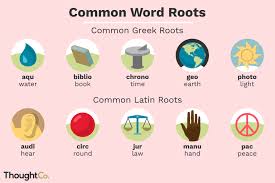 50 greek and latin root words