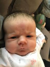 POLITICO Playbook: Trump: 'I could really tone it up,' but chooses not to