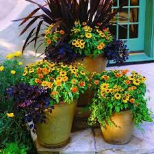 Fall Ensemble Container Plants Flower Pots Container Gardening