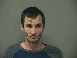 Man who allegedly fled police, damaged police car arrested