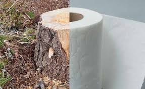 Papel Higienico Contamina Mas Que Un Suv Papel Higienico Sobres De Papel Rollos De Papel Higienico