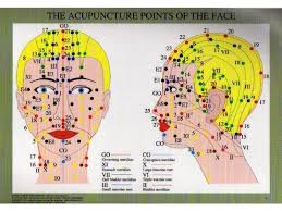 Acupuncture Points Of The Face Chart Acumedic Shop