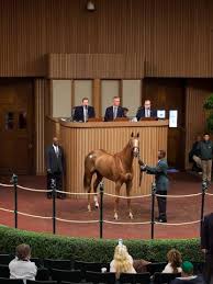 2019 November Breeding Stock Sale Keeneland