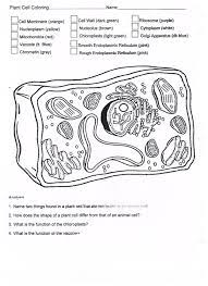 Plant cell coloring answer sheet. Plant And Animal Cells Worksheet Worksheet List