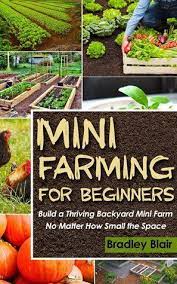 Robot Check Mini Farm Backyard Farming Farm