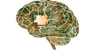 Sequential activities help children learn different aspects of computer coding. How Fine Tuned Brain Activities Are Programmed For Computer Programming Qs Study