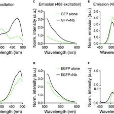L f spirit 52 camel. Pdf Influence Of Nanobody Binding On Fluorescence Emission Mobility And Organization Of Gfp Tagged Proteins