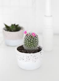 Ikea Hack Planters Out Of Small Glass Containers Passionshake Glass Containers Small Glass Containers Diy Planters