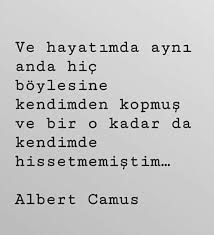 Albert Camus Albert Camus Guzel Soz Hayat