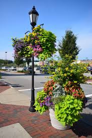 Seoane Landscape Design Garden Center Abington Massachusetts Landscape Design Garden Design Garden Center